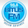 Bitlis FM